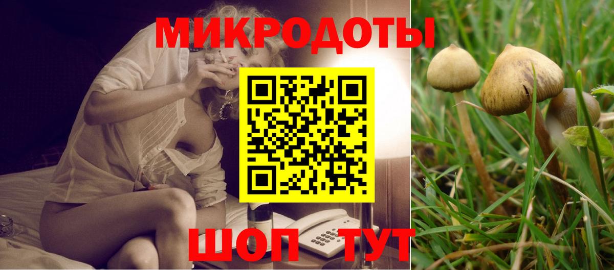 Галлюциногенные грибы Cubensis  Вход с VPN  Кизилюрт 